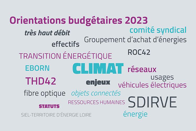 nuage-mots-comite-12-decembre-2022